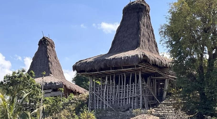 Two traditional Sumba Uma Mbatangu houses with tall thatched roofs stand amidst green trees under a blue sky, with a stone staircase on the right.
