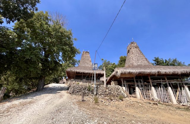 Two traditional Sumbanese houses with tall, conical thatched roofs stand beside a dirt path under a clear blue sky, surrounded by green trees.