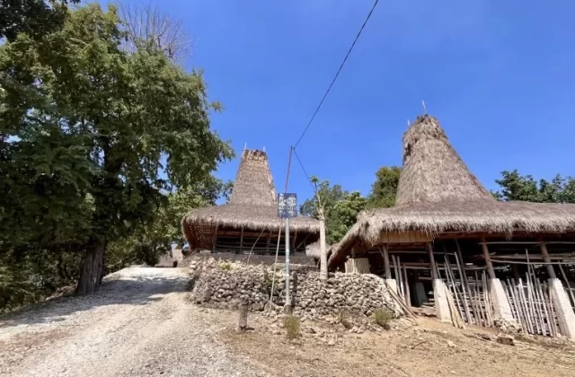 Two traditional Sumbanese houses with tall, conical thatched roofs stand beside a dirt path under a clear blue sky, surrounded by green trees.