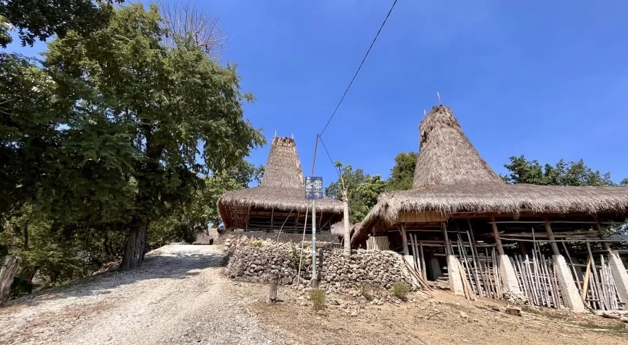 Two traditional Sumbanese houses with tall, conical thatched roofs stand beside a dirt path under a clear blue sky, surrounded by green trees.