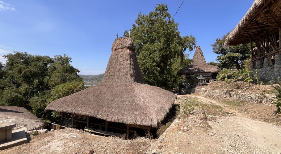 Traditional Sumbanese houses with tall, conical thatched roofs stand on a dry, earthy hillside surrounded by green trees under a clear blue sky.