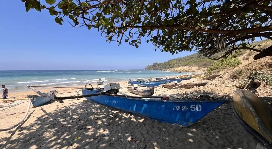 Blue fishing boats with outriggers rest on a sunny sandy beach at Wai Hura Fisheries, with ocean waves and green hills in the background.
