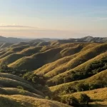 Undulating golden-brown savanna hills with scattered green trees stretch under a clear blue sky, illuminated by soft, warm sunlight.
