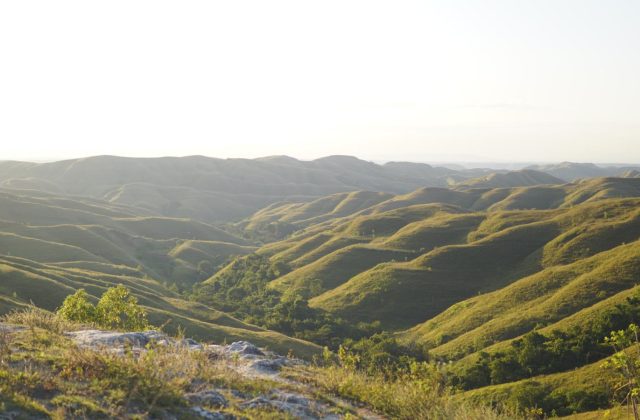 Undulating golden-brown savanna hills with scattered green trees stretch under a clear blue sky, illuminated by soft, warm sunlight.