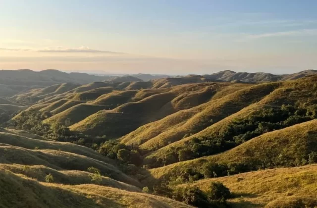 Undulating golden-brown savanna hills with scattered green trees stretch under a clear blue sky, illuminated by soft, warm sunlight.