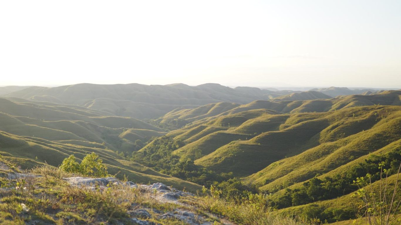 Undulating golden-brown savanna hills with scattered green trees stretch under a clear blue sky, illuminated by soft, warm sunlight.