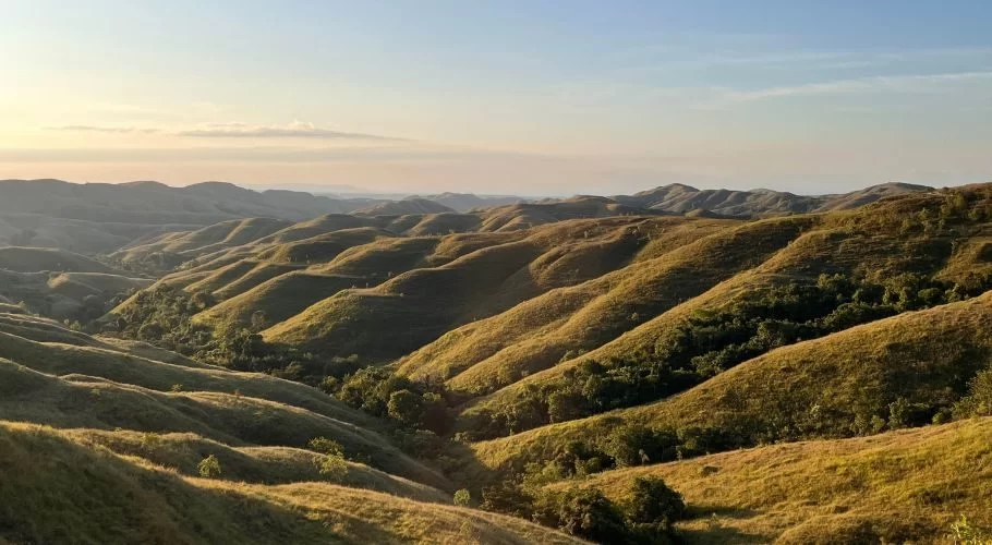 Undulating golden-brown savanna hills with scattered green trees stretch under a clear blue sky, illuminated by soft, warm sunlight.