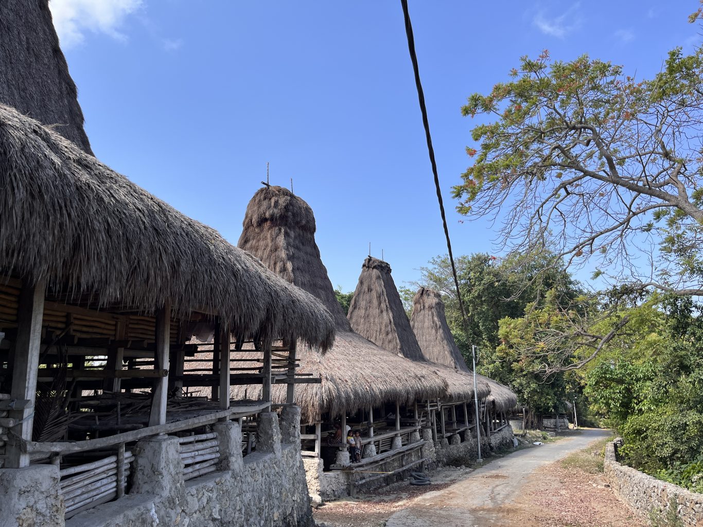 Traditional Sumbanese houses with tall, conical thatched roofs line a village path under a clear blue sky, surrounded by green trees.
