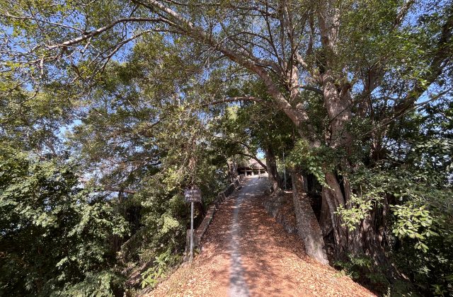A shaded dirt path, flanked by dense green trees and foliage, leads uphill towards Waiwuang Bawah Village under a clear blue sky.