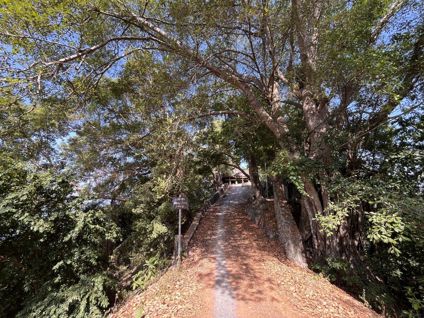 A shaded dirt path, flanked by dense green trees and foliage, leads uphill towards Waiwuang Bawah Village under a clear blue sky.
