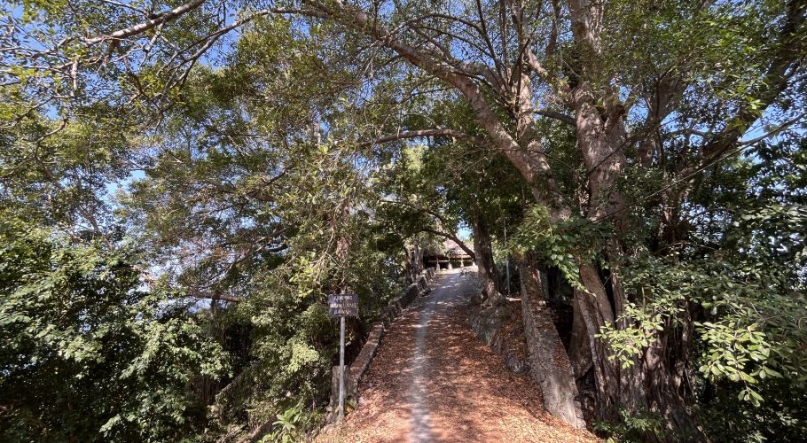 A shaded dirt path, flanked by dense green trees and foliage, leads uphill towards Waiwuang Bawah Village under a clear blue sky.