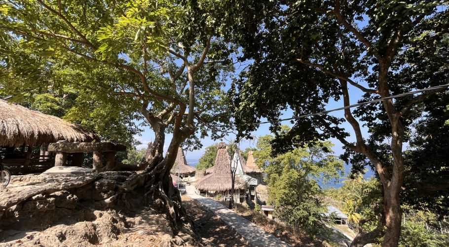 A traditional Sumba village features thatched-roof houses nestled among lush green trees on a hillside, with a glimpse of the blue ocean in the distance under a clear sky.