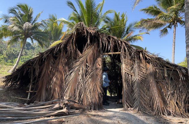 A person in a blue jacket stands inside a traditional hut made of dried coconut leaves and bamboo, surrounded by palm trees under a clear blue sky.