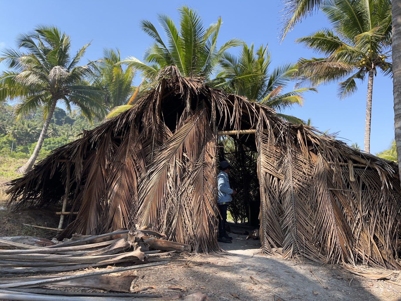 A person in a blue jacket stands inside a traditional hut made of dried coconut leaves and bamboo, surrounded by palm trees under a clear blue sky.