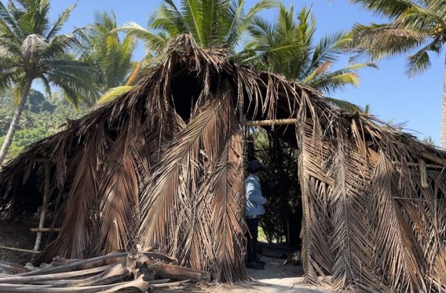 A person in a blue jacket stands inside a traditional hut made of dried coconut leaves and bamboo, surrounded by palm trees under a clear blue sky.
