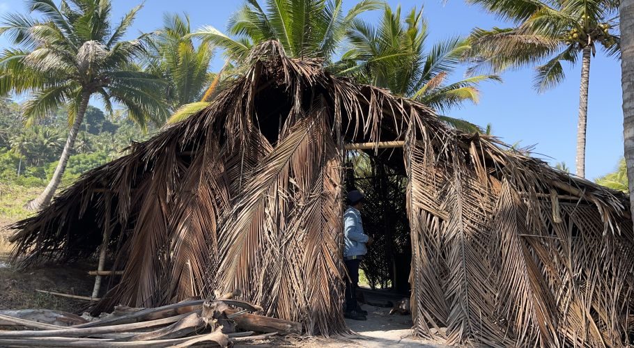 A person in a blue jacket stands inside a traditional hut made of dried coconut leaves and bamboo, surrounded by palm trees under a clear blue sky.