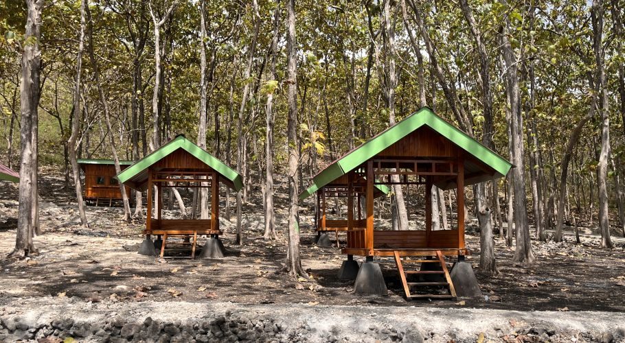 Several wooden gazebos with bright green roofs stand among tall, slender teak trees with sparse foliage in a dry forest setting.