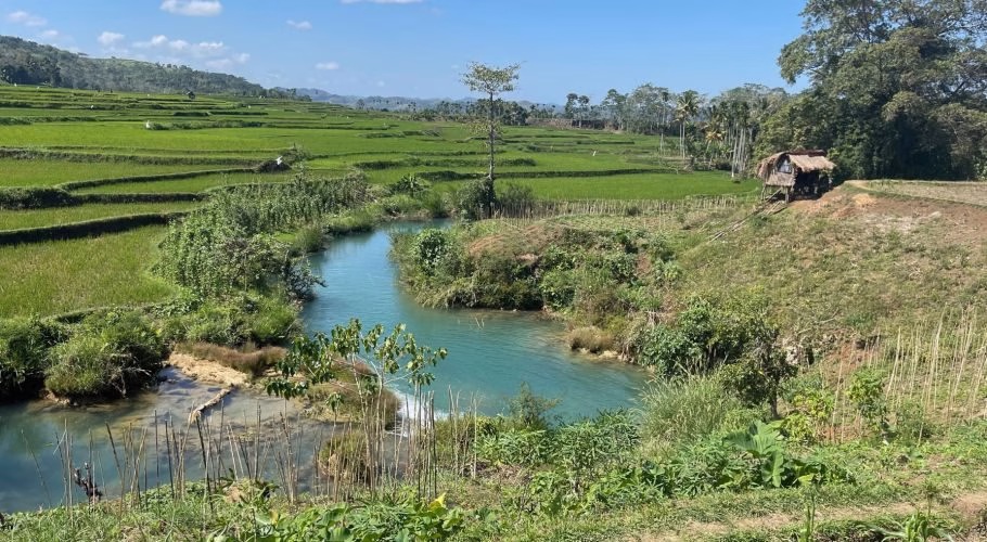 Weekacura Waterfalls flow with clear blue water through terraced green rice fields under a bright blue sky, with a small hut on the right.