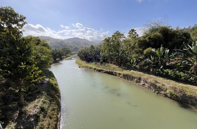 Welibo River flows through a lush green landscape with abundant banana trees and dense foliage under a bright blue sky with white clouds.