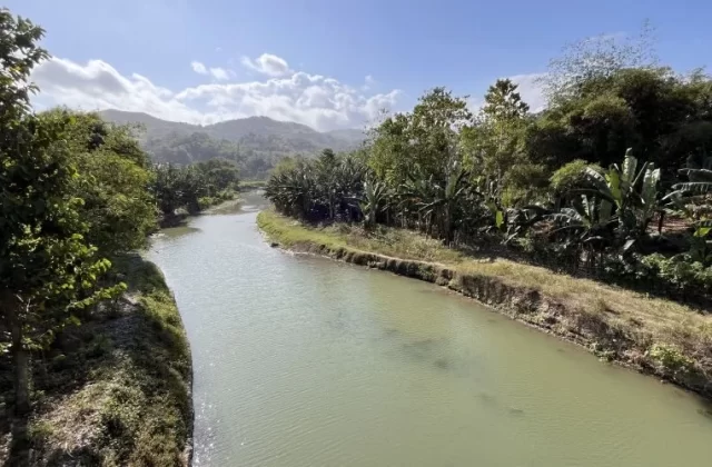 Welibo River flows through a lush green landscape with abundant banana trees and dense foliage under a bright blue sky with white clouds.