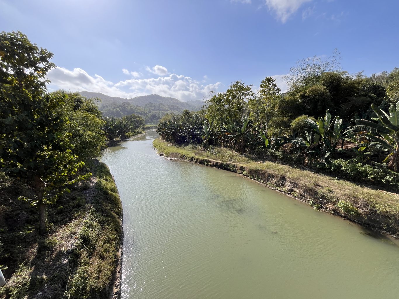 Welibo River flows through a lush green landscape with abundant banana trees and dense foliage under a bright blue sky with white clouds.