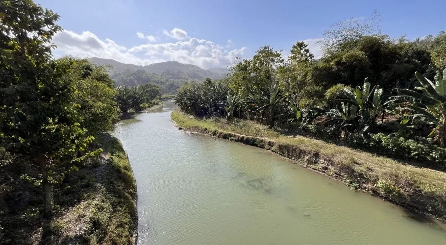 Welibo River flows through a lush green landscape with abundant banana trees and dense foliage under a bright blue sky with white clouds.