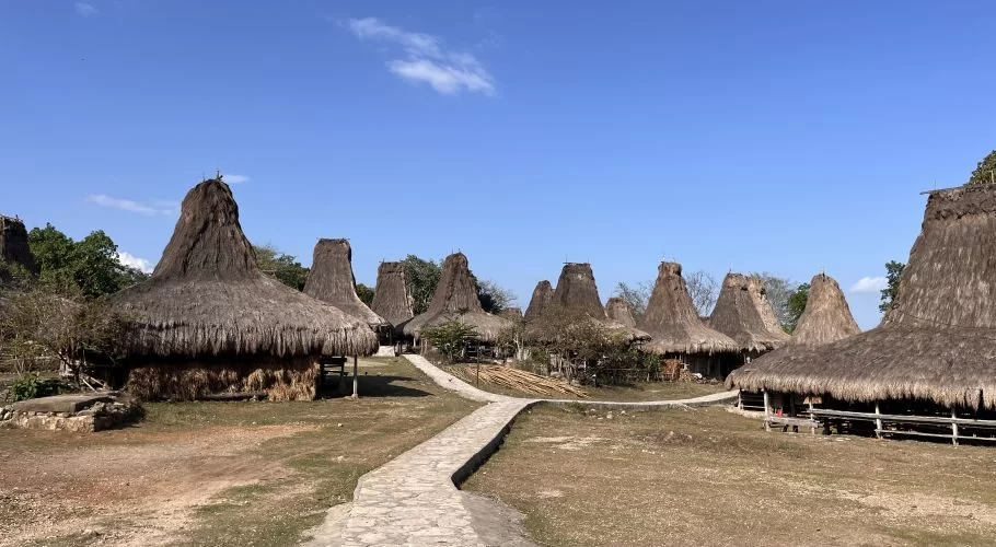 A traditional Sumbanese village features numerous houses with tall, conical thatched roofs under a clear blue sky, with a stone path winding through dry ground.