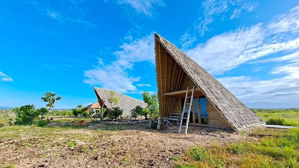Two A-frame huts with steep thatched roofs stand on a dry, grassy landscape under a bright blue sky with white clouds.