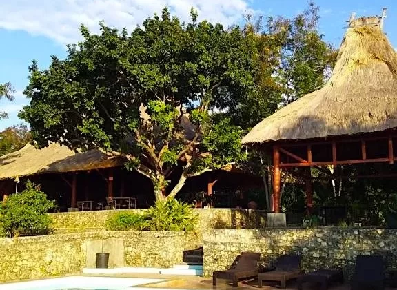 A bright blue swimming pool with lounge chairs sits before a stone wall, large green tree, and traditional thatched-roof buildings under a blue sky.