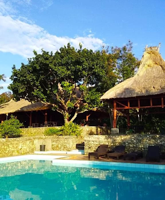 A bright blue swimming pool with lounge chairs sits before a stone wall, large green tree, and traditional thatched-roof buildings under a blue sky.