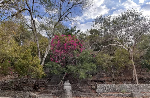 Stone steps ascend a lush hillside in St. Mary's Grotto Prayer Garden, featuring a vibrant pink flowering bush under a partly cloudy sky.