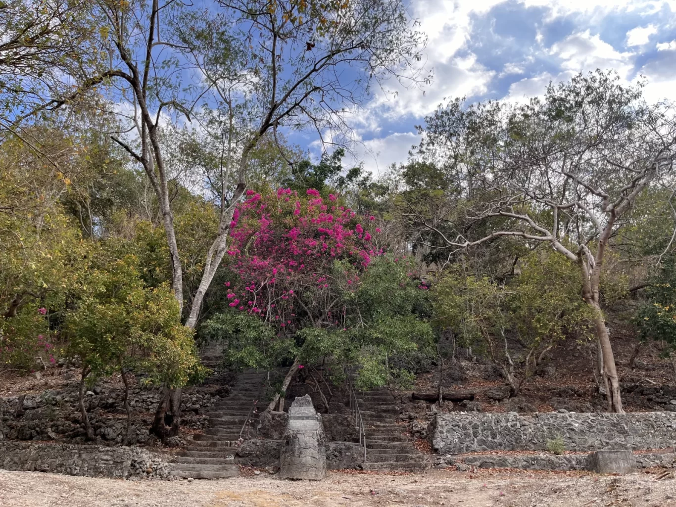 Stone steps ascend a lush hillside in St. Mary's Grotto Prayer Garden, featuring a vibrant pink flowering bush under a partly cloudy sky.