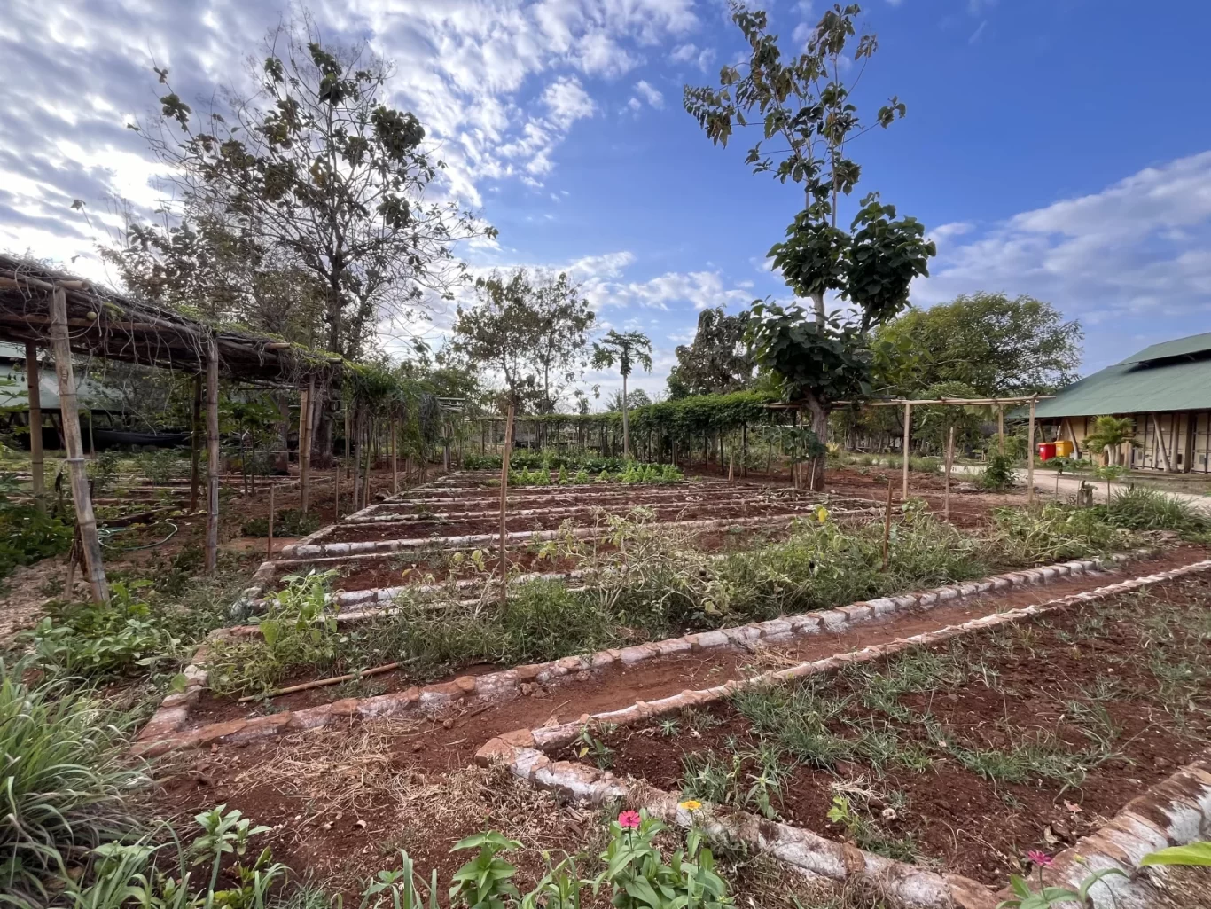 A permaculture farm in Southwest Sumba features rows of cultivated red soil beds with young green plants under a partly cloudy blue sky, with a building in the background.