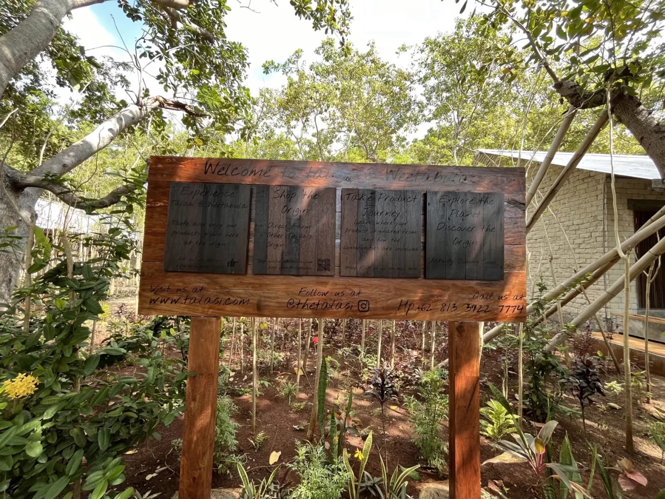 A wooden welcome sign for Talasi Weetabula stands in a vibrant garden with small plants and reddish soil, framed by lush green trees.