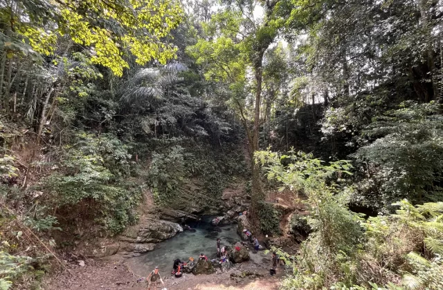 A group of people gathers around a clear blue natural spring pool surrounded by dense green jungle foliage under dappled sunlight.
