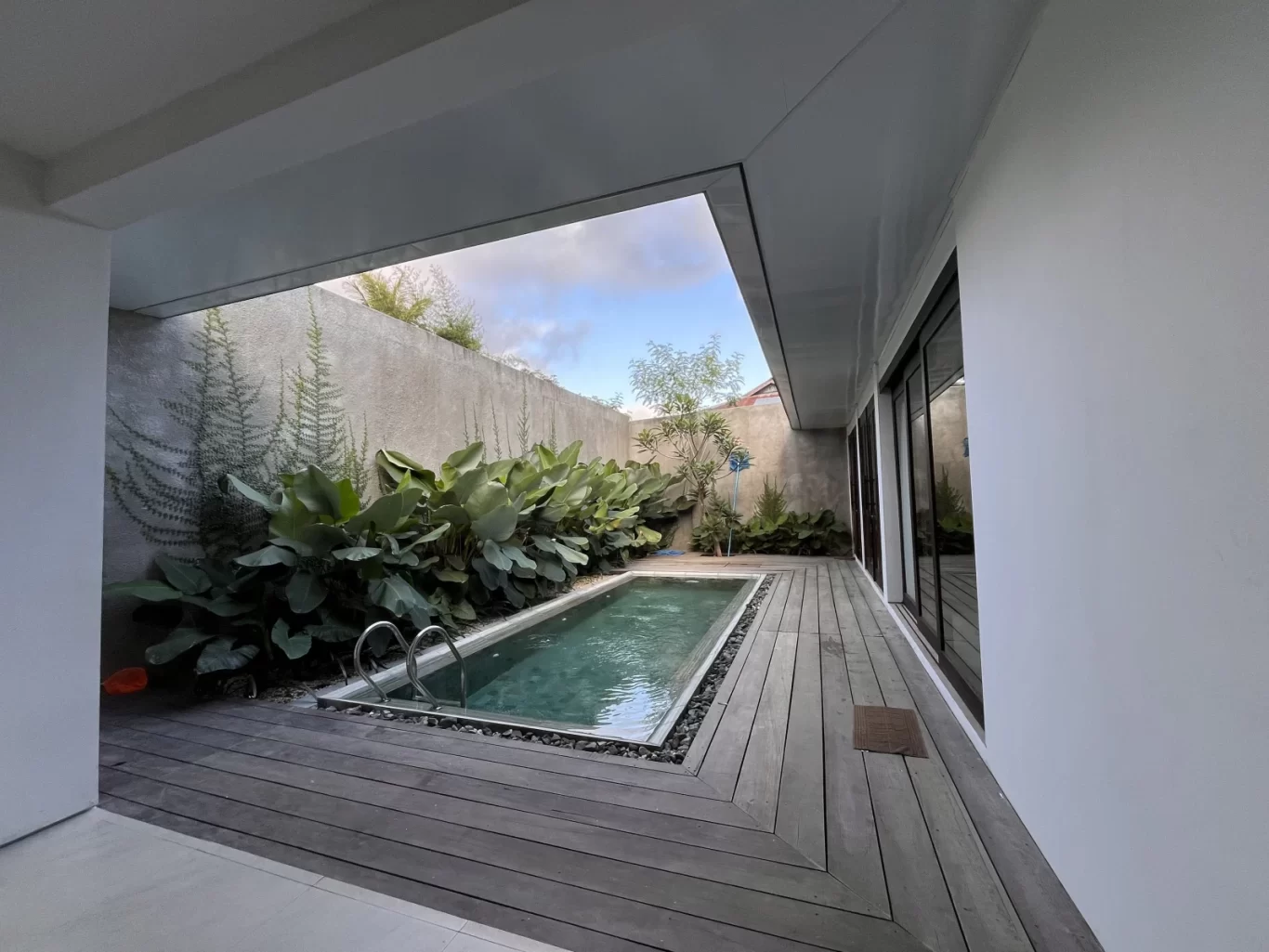 A modern outdoor plunge pool with silver steps is set into a dark wooden deck, flanked by lush green plants against a concrete wall and a white building with glass doors under a blue sky.