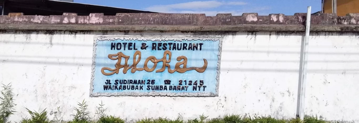 A light blue sign for "Hotel & Restaurant Aloha" with brown stylized letters is mounted on a weathered white wall, with green foliage at its base under a blue sky.