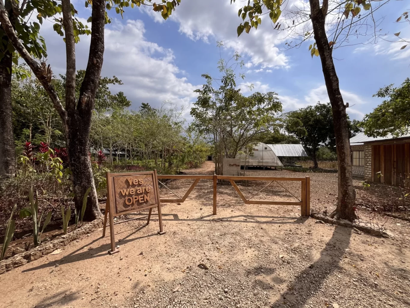 Dirt entrance path with a wooden "Yes we are OPEN" sign and gate, leading to a coffee shop and greenhouse under a blue sky.