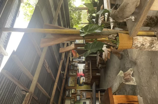 A light brown dog rests on a wooden bench in a rustic hotel common area with a corrugated metal roof, green potted plants, and framed pictures.
