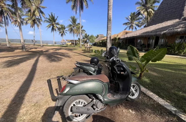 A dark green scooter with a helmet is parked on dry ground under palm trees, with thatched-roof buildings and a calm blue ocean in the background.
