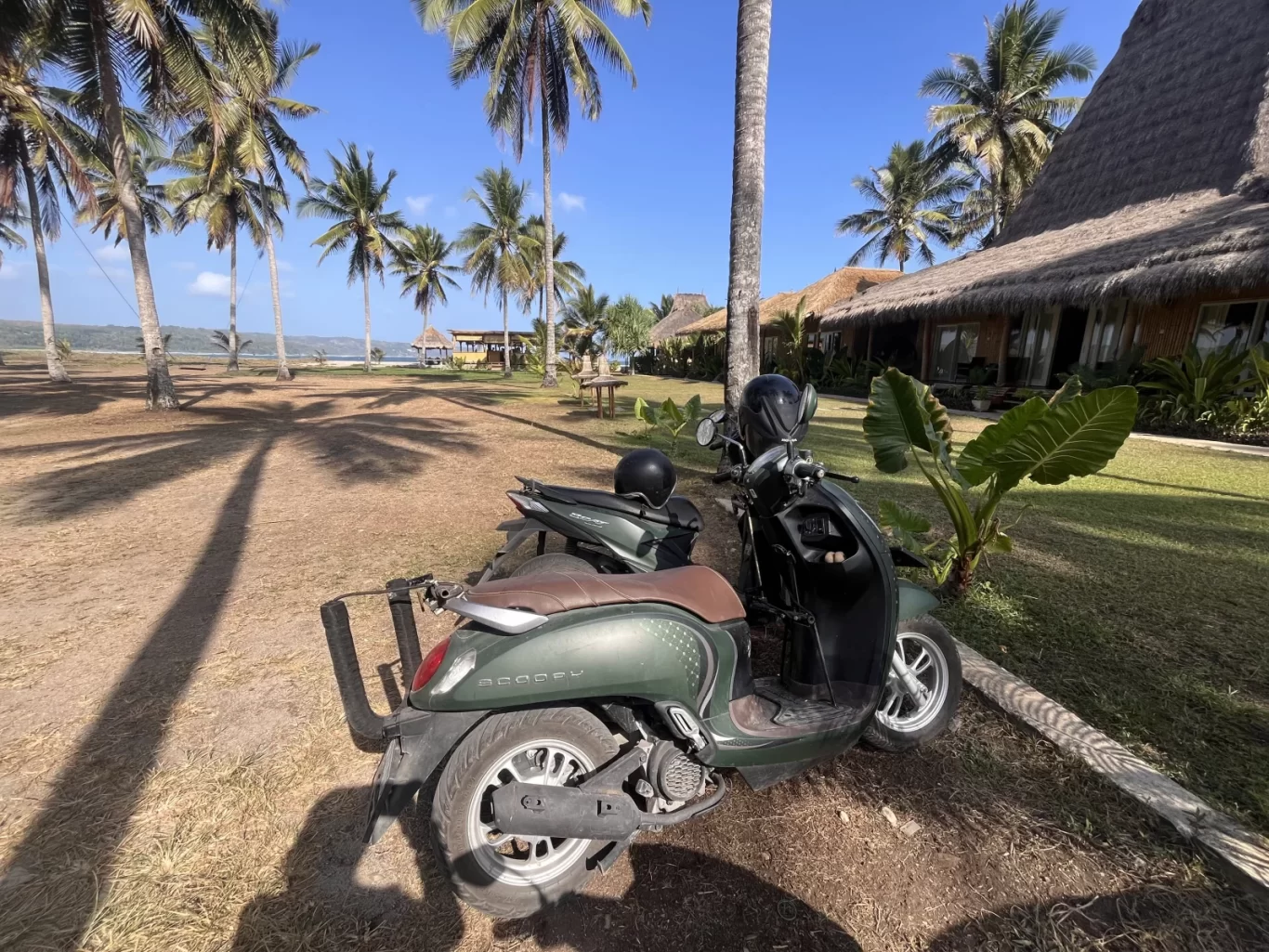 A dark green scooter with a helmet is parked on dry ground under palm trees, with thatched-roof buildings and a calm blue ocean in the background.