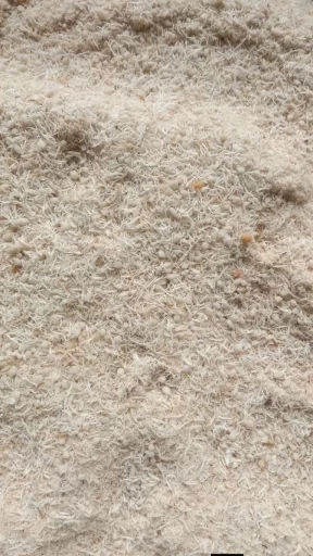 A close-up view of light beige and off-white granular material, likely crushed coral or shells, with tiny rounded and elongated fragments covering the entire frame.