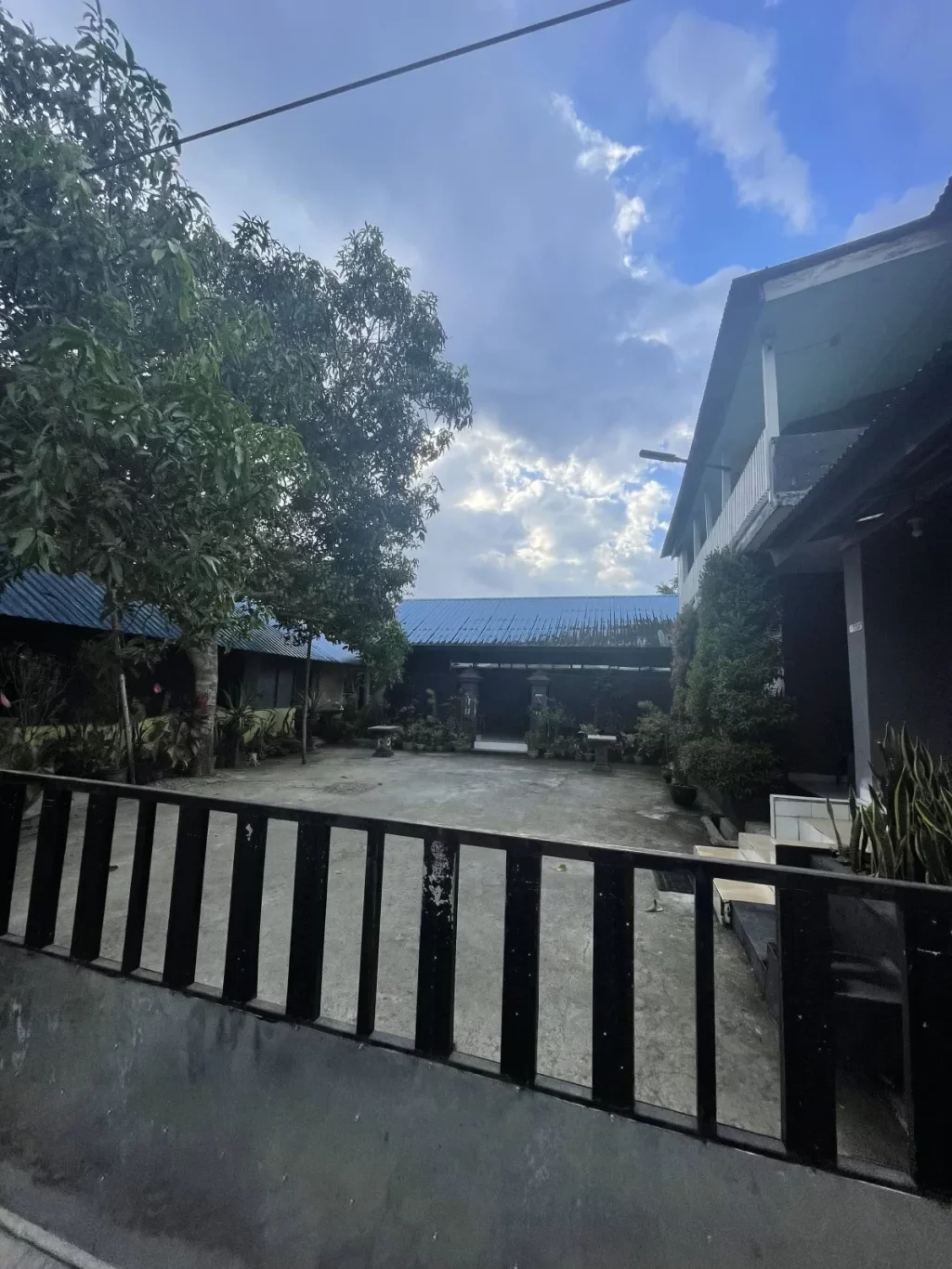 A concrete courtyard and a black metal fence lead to a guesthouse building with a blue roof, framed by a large green tree under a partly cloudy blue sky.