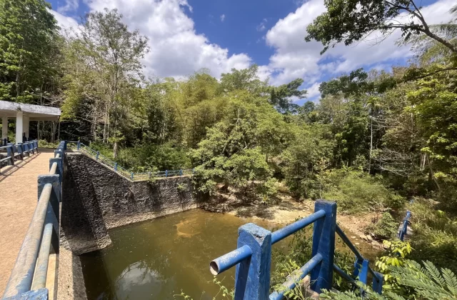 A view of Koritepe Dam in West Sumba, featuring murky brown water, a concrete walkway with blue railings, and dense green tropical foliage under a bright blue sky with white clouds.