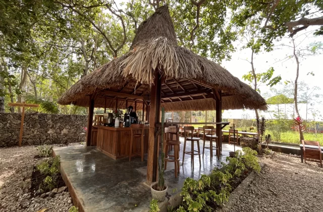 A rustic outdoor coffee bar with a thatched roof and wooden furniture is nestled among lush green trees on a gravel path under bright sunlight.