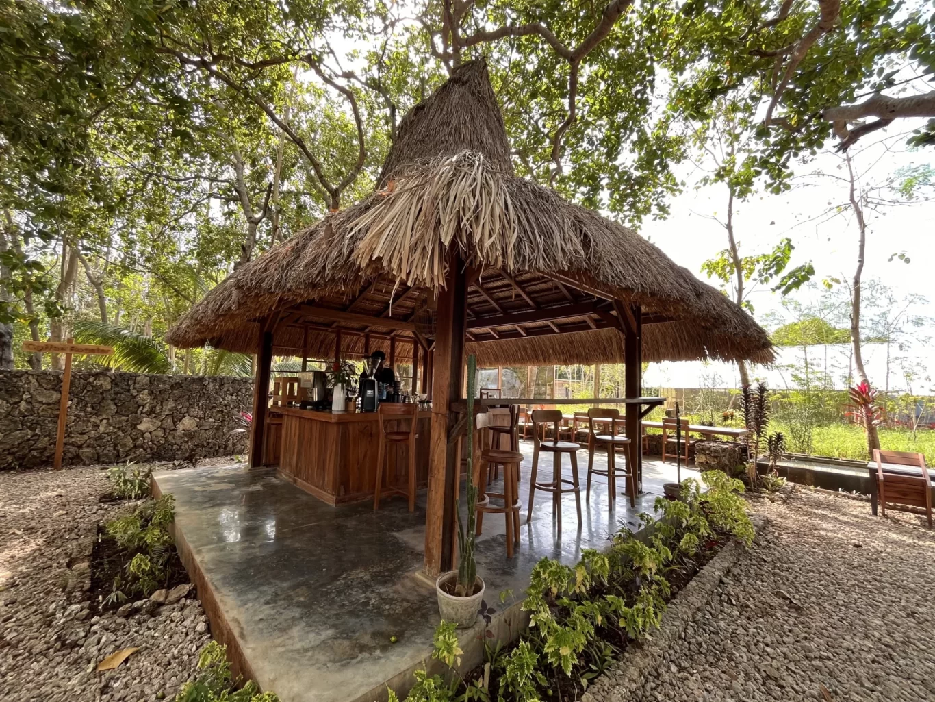 A rustic outdoor coffee bar with a thatched roof and wooden furniture is nestled among lush green trees on a gravel path under bright sunlight.