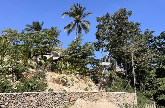 A thatched-roof homestay sits on a sandy hill, surrounded by green trees and palm trees, above a stone wall, under a clear blue sky.