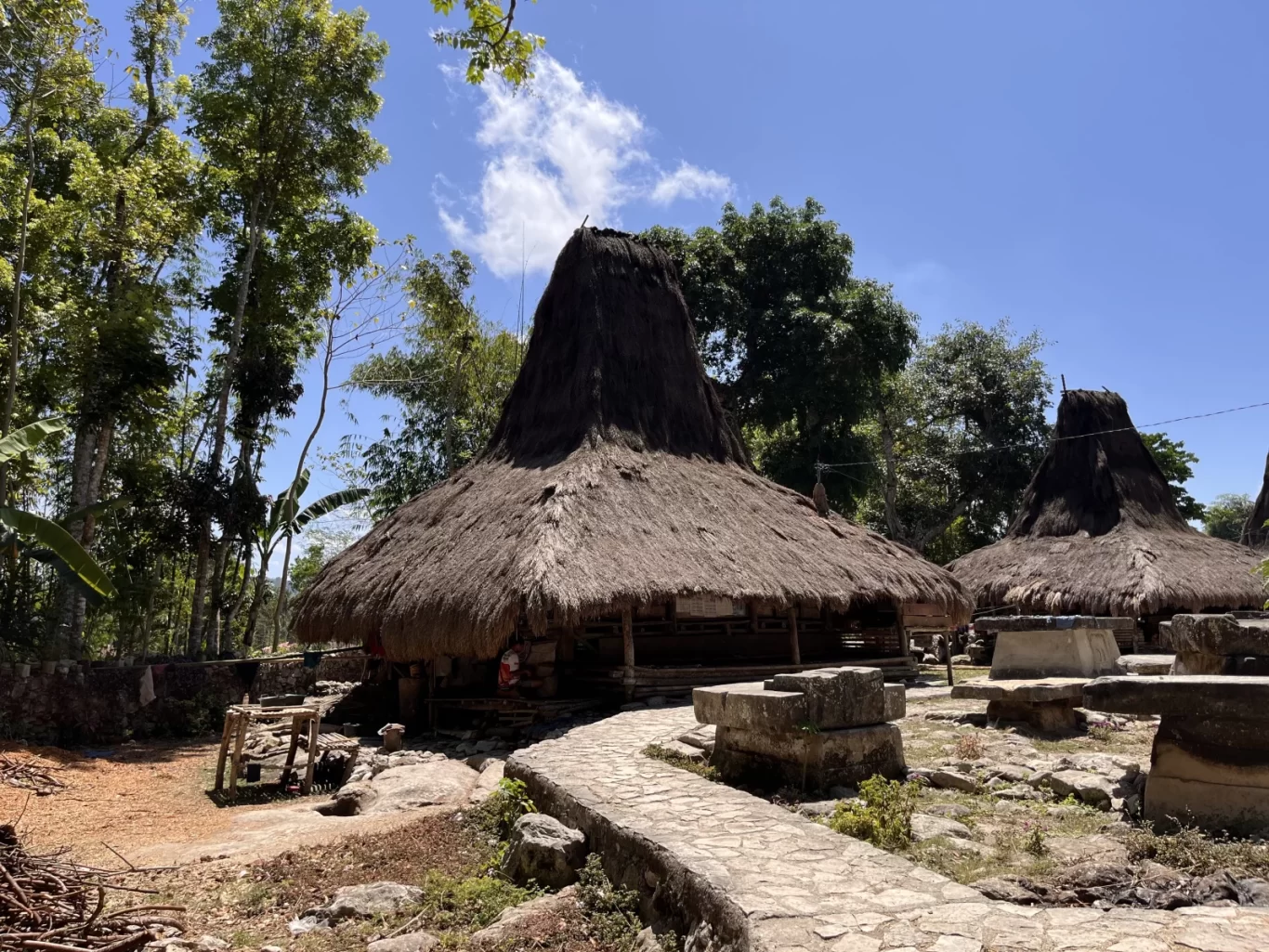 Traditional Sumba houses with tall, conical thatched roofs stand under a bright blue sky, surrounded by green trees and a stone path in Gollu Village.