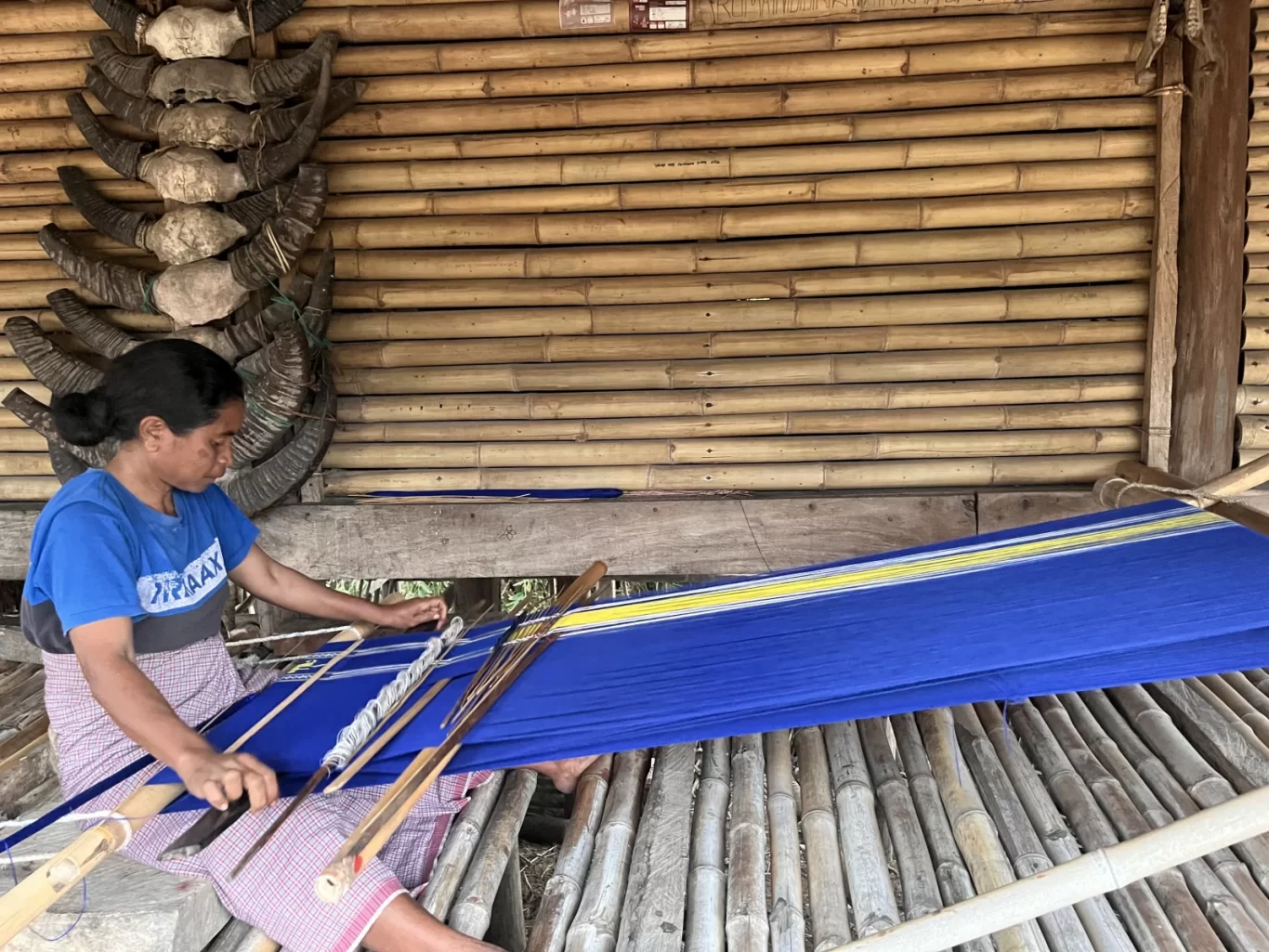 A Sumba artisan weaves a vibrant blue ikat fabric with yellow and white stripes on a traditional loom inside a bamboo structure, with buffalo horns displayed.