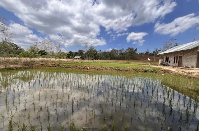 Iya Tekki Farming Group